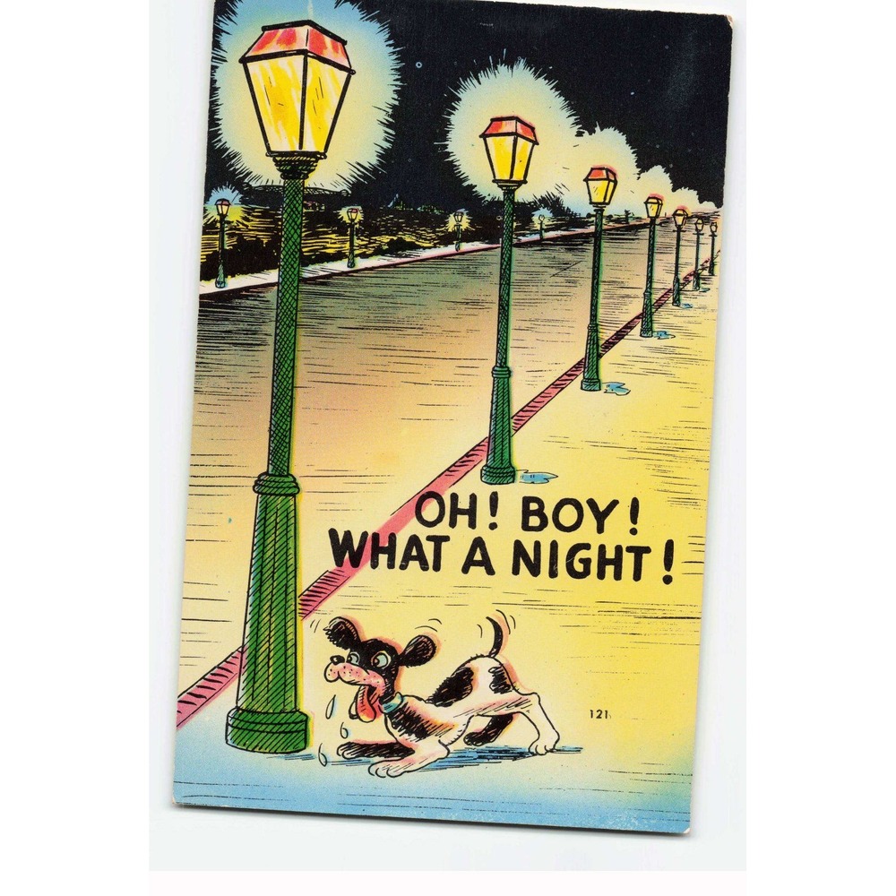 Vintage Oh Boy What A Night Cartoon Dog Linen Postcard ShiniColor 121 Boston